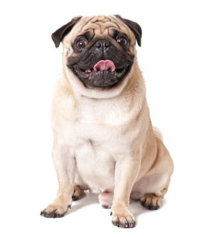 Sebastián Vásquez Sierra recibió milagro de nueva beata