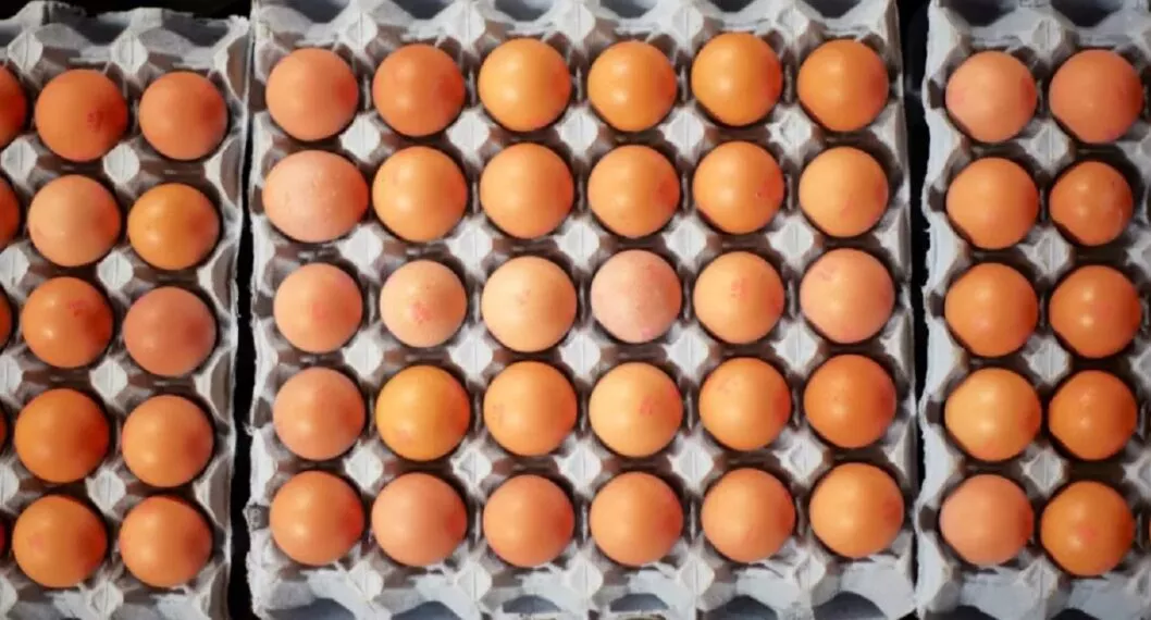 Periodista de Noticias Caracol se indignó al ver huevos a mil pesos cada uno