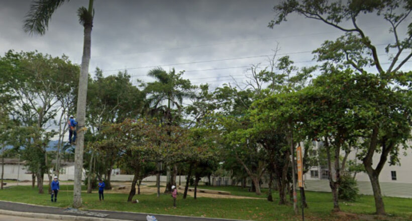 Imagen noticia seccion