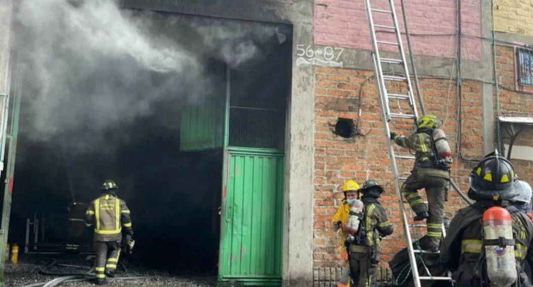 [Video] Gato murió ahogado por incendio en Medellín; no soportó el humo 