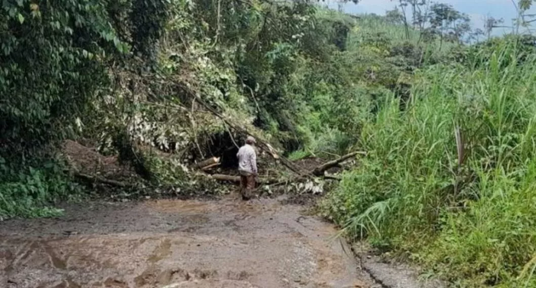Lluvia en Tolima hoy: qué pasa con los municipios incomunicados.