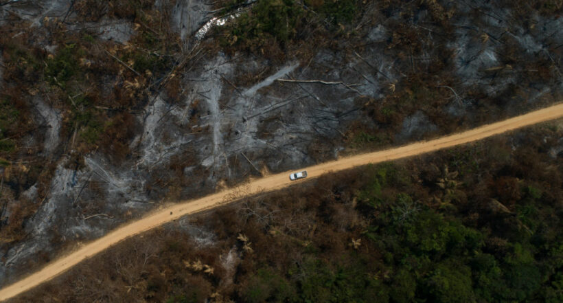 Amazonia se acerca a punto de no retorno para convertirse en una sabana seca