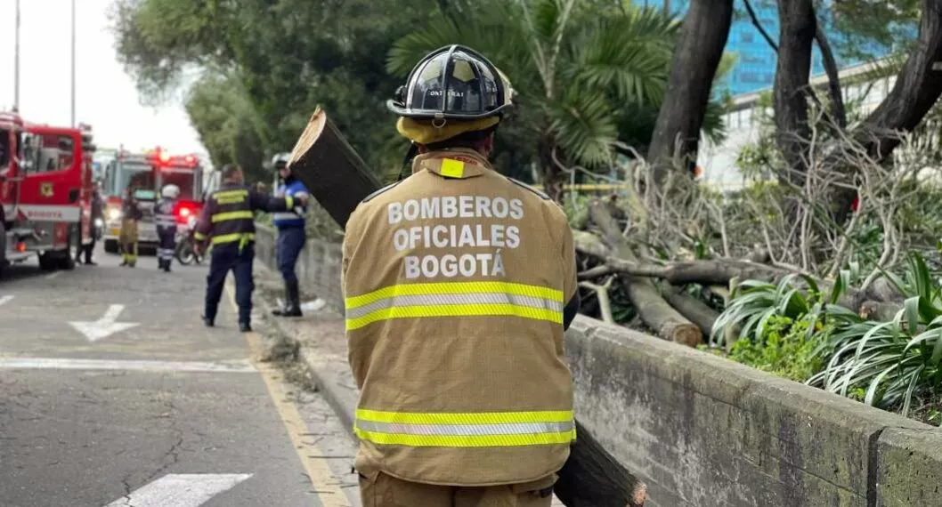 Foto de bomberos en caso de árbol que cayó sobre carro en Bogotá, en nota sobre ese tema.