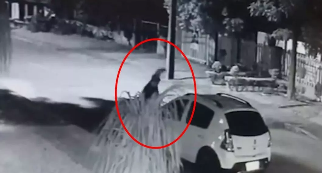 Hombre golpea a habitante de calle que se estaba acostando con su esposa (video)