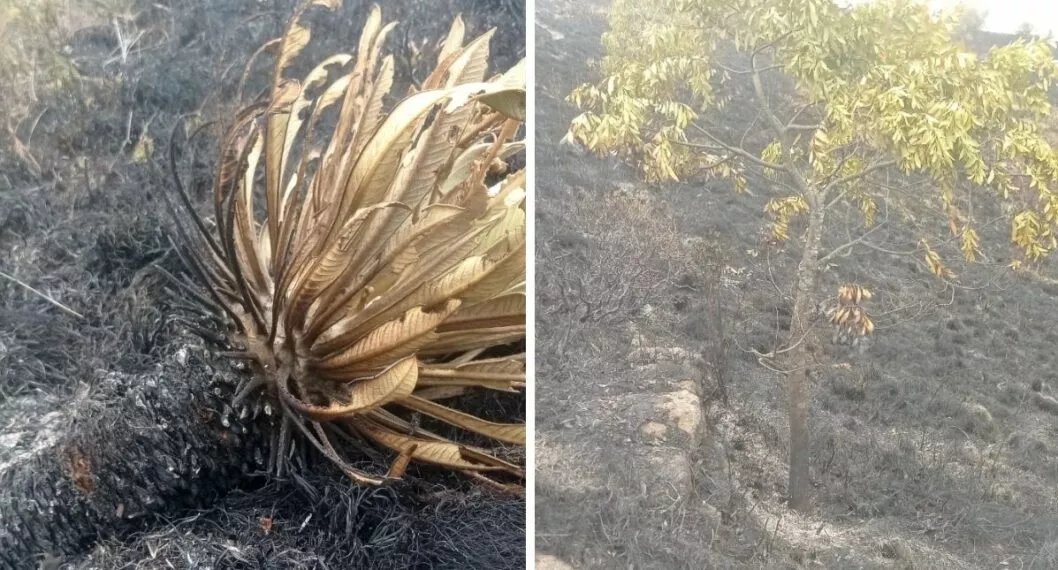 Imagen del incendio en Boyaca que duró más de 15 horas y quemó 70 hectáreas de vegetación