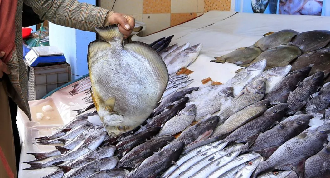 Imagen de venta de pescado ilustra artículo Recomendaciones para comprar pescado fresco en Semana Santa