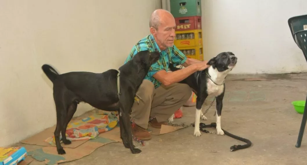 David Castiblanco tiene 69 años de edad. En estos momentos está de posada con sus dos mascotas.