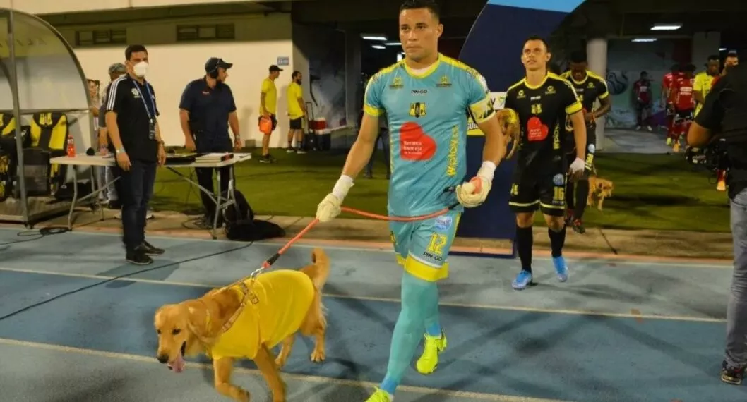 Imagen de los jugadores de Alianza Petrolera, que sacó campaña para adoptar perros en Barrancabermeja