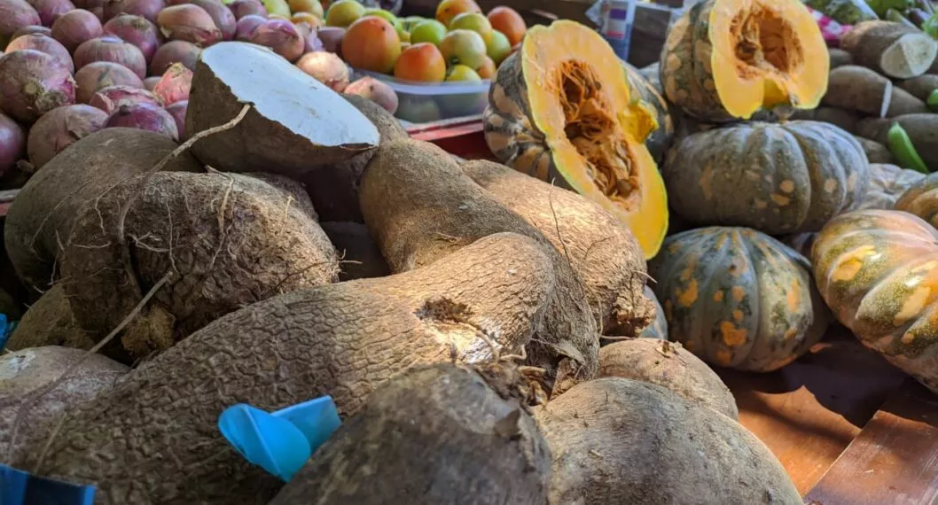El ñame, el tubérculo preferido en la Costa Caribe, reveló el Dane  