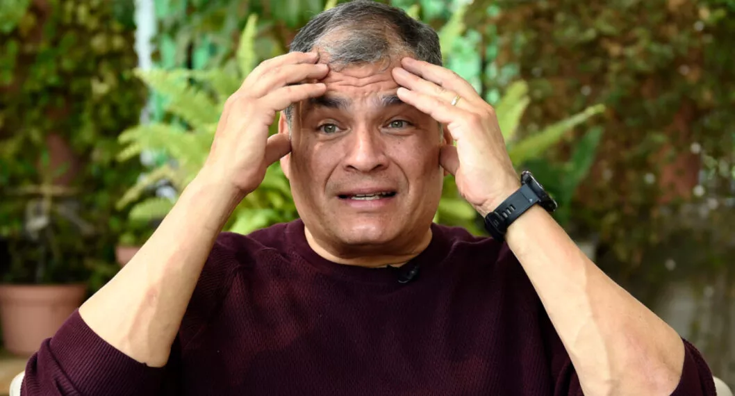 Rafael Correa, a propósito del pedido de extradición que hará Ecuador a Bélgica.