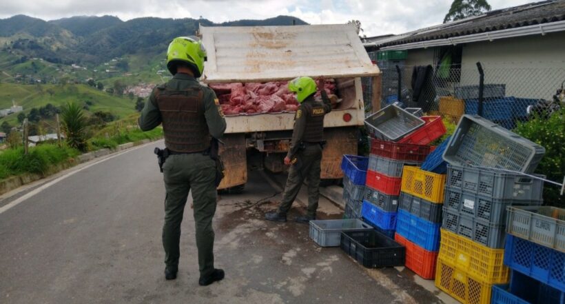 Imagen noticia seccion