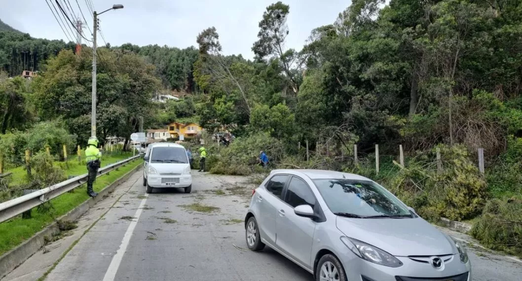Caída árbol vía La Calera-Bogotá