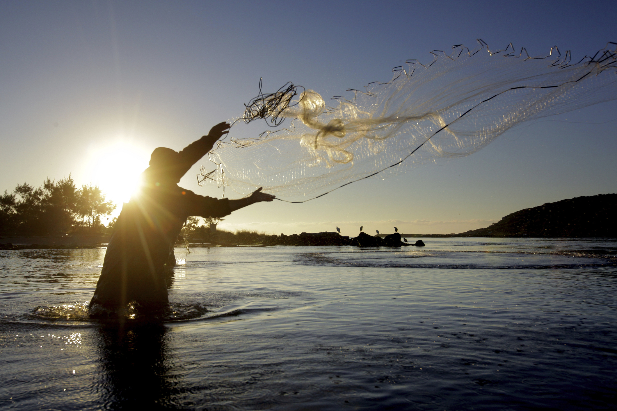 Comienza veda pesquera en Colombia; qué es