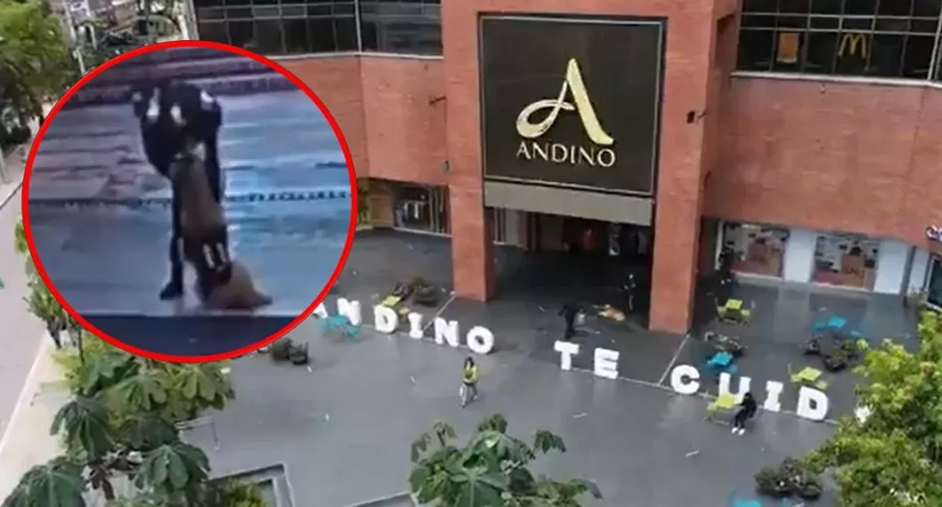 En redes sociales fue divulgado un video que evidencia a un guardia de seguridad del Centro Comercial Andino, en Bogotá, maltratando a un perro vigilante. 
