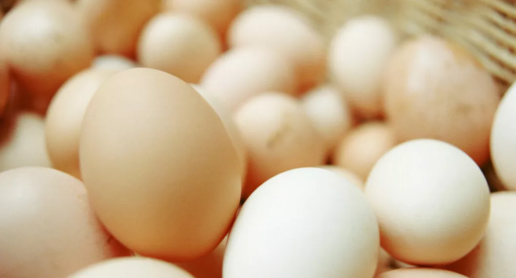 Precio del huevo en Colombia está por las nubes y no es por culpa de Alemania