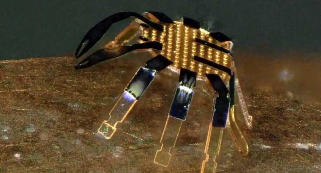 Imagen del robot a control remoto más pequeño del mundo