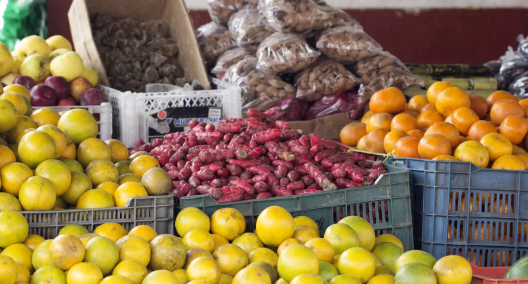 Alimentos que se producen en Colombia y que están más baratos actualmente.