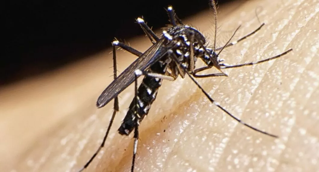 El Cesar reporta 980 casos positivos y dos muertos por dengue 
