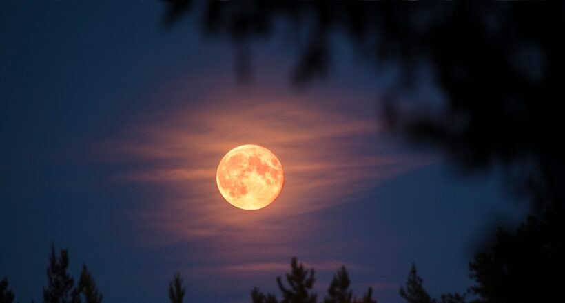 Imagen noticia seccion