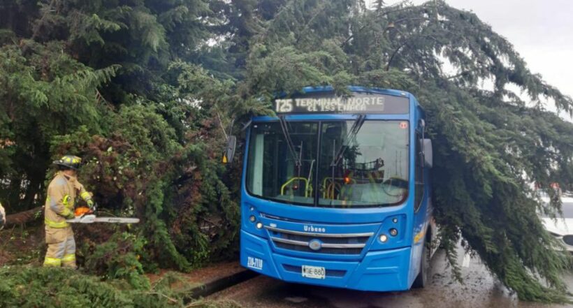 En la mañana de este martes un árbol cayó sobre un bus del SITP en la Autopista Norte con calle 190, Bogotá, y la movilidad fue afectada.
