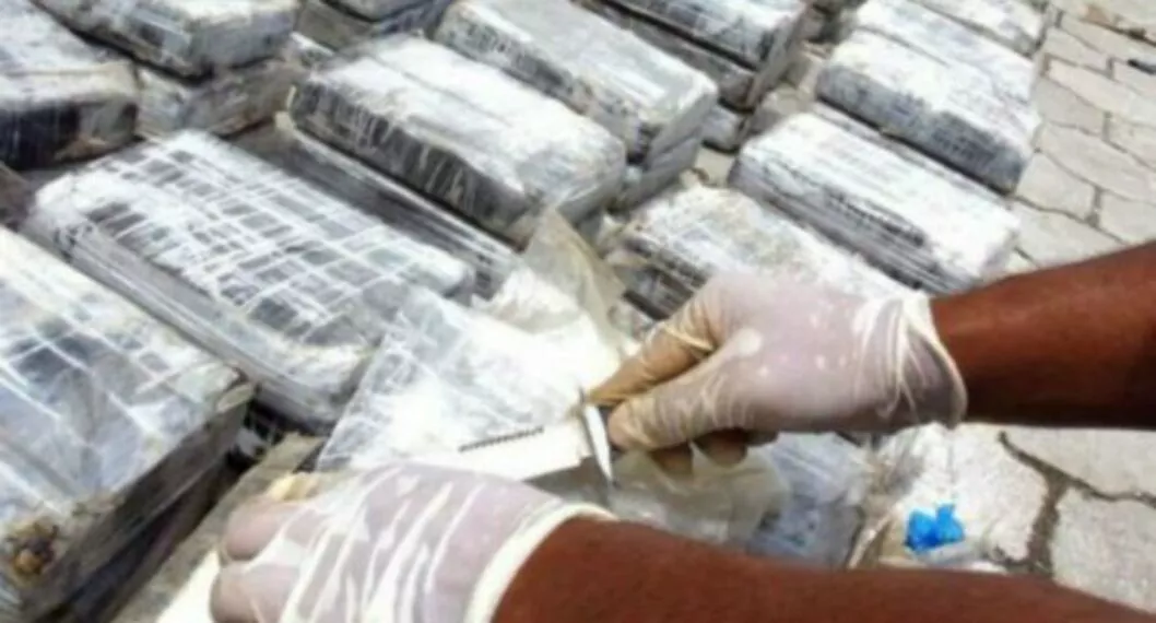 175 kilos de drogas fueron incautados en colegios de Bogotá