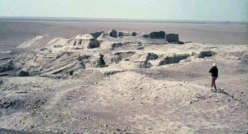 Irak sentenció a prisión a un turista británico por tomar piezas arqueológicas