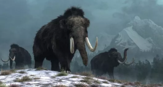 Imagen de mamut a propósito de que encontraron uno en Canadá