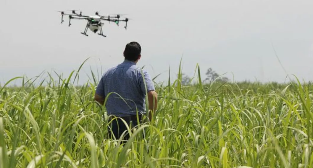 Piloto de drones: ¿en qué consiste y cuánto se gana en esta nueva profesión?