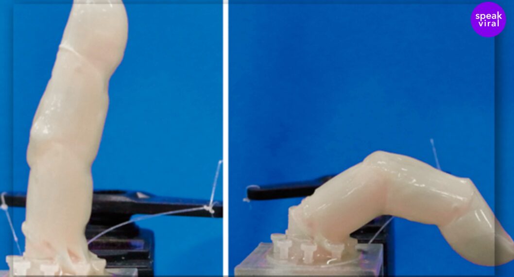 Imagen de los Científicos que revestirán a robots con piel humana viva