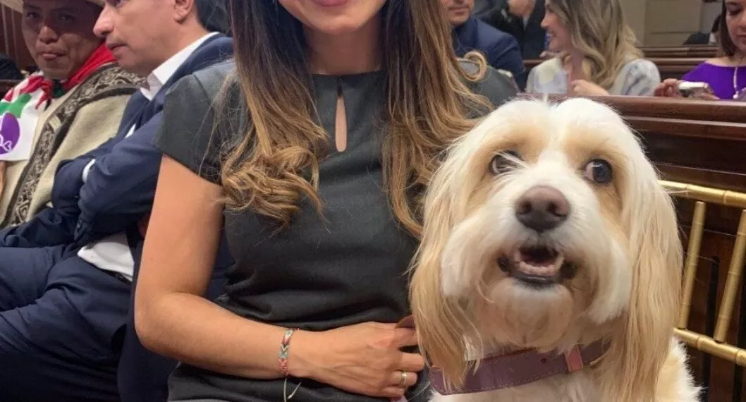 Cometa: El canino que asistió a la posesión del nuevo Congreso de la República