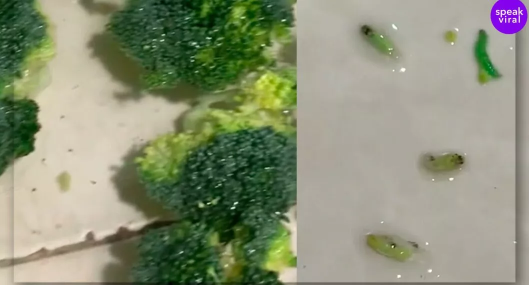 Imagen de la mujer que mostró video en redes sociales lavando un brócoli con gusanos
