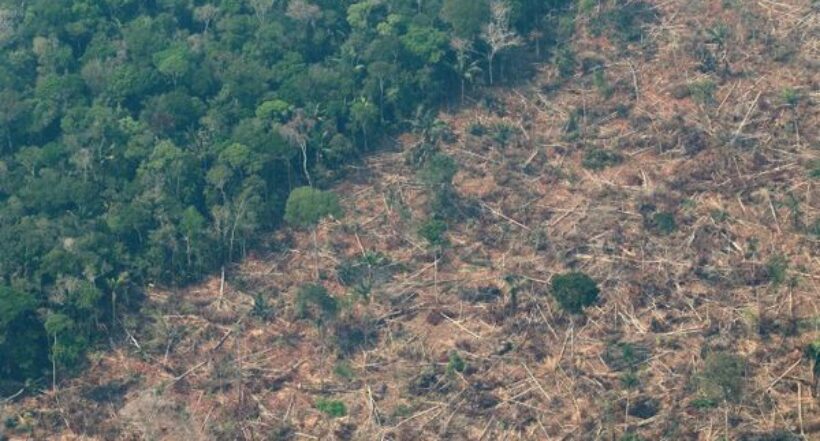 Imagen de Brasil, ya que en 2021 se deforestó más de un millón y medio de hectáreas de vegetación