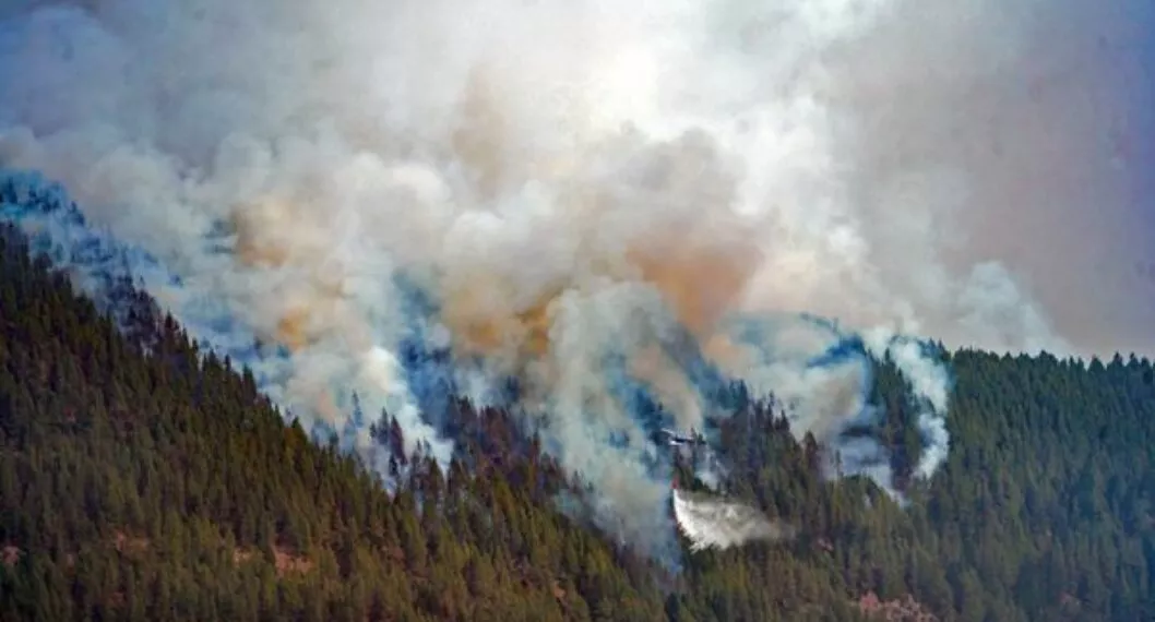 Arde España: casi 100.000 hectáreas calcinadas en solo dos semanas
