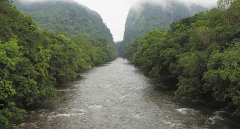 Imagen de un lugar al que Alemania destina 7 millones de euros a protección de biodiversidad en Colombia