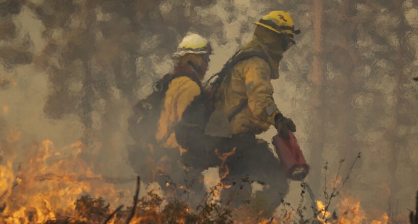Bomberos luchan contra incendio en California, Estados Unidos