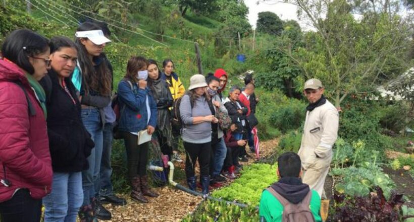 Se gradúa la primera promoción de agricultores urbanos del Jardín Botánico de Bogotá