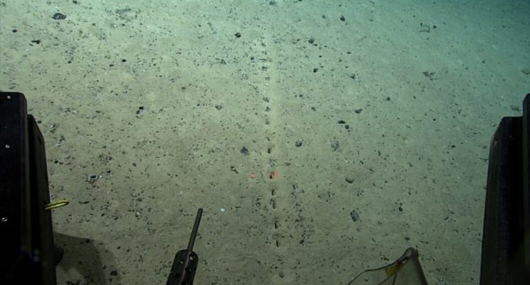Los desconocidos agujeros del fondo del océano que tienen perplejos a los científicos