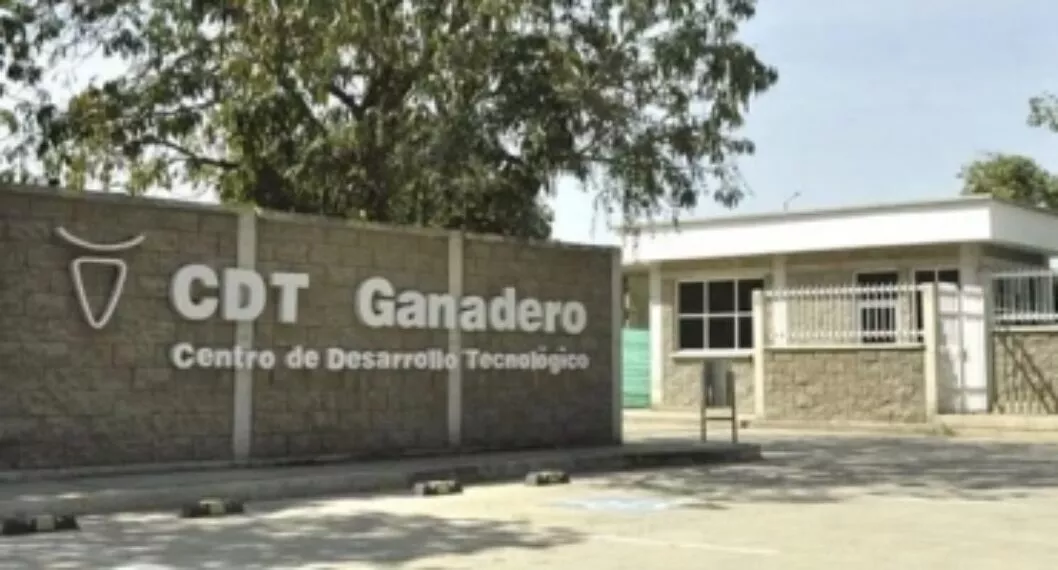“La Gobernación del Cesar no está para hacer transferencias directas al CDT”: diputados