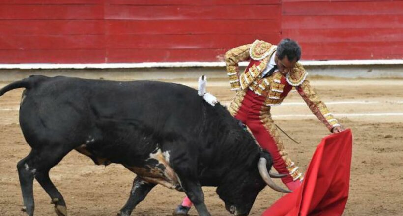 Imagen noticia seccion