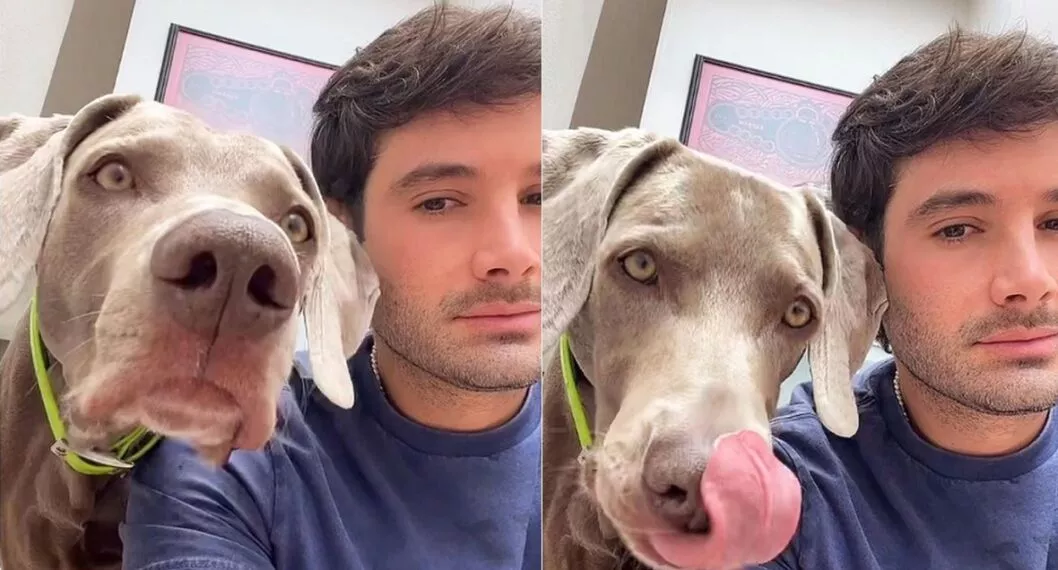 El actor contó la historia de cómo llegó el perro a su vida y el camino que han recorrido hasta ser unas verdaderas estrellas en Instagram y TikTok.