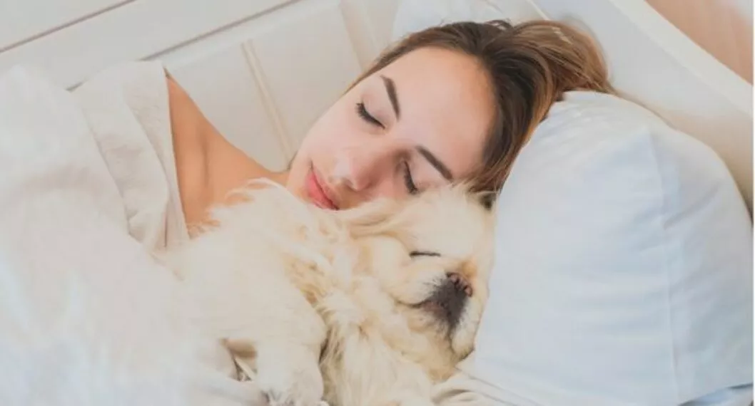 Perros | ¿Por qué es malo dormir con ellos? Así alteras su conducta