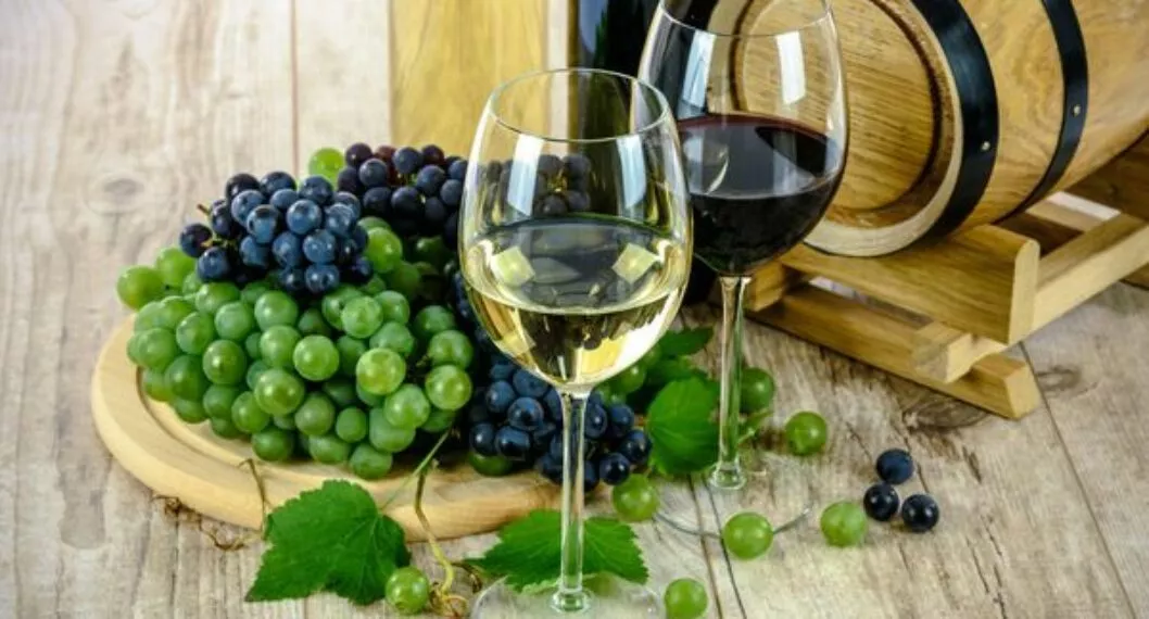 Expovinos 2022: conozca los vinos orgánicos, veganos, biodinámicos y ecológicos
