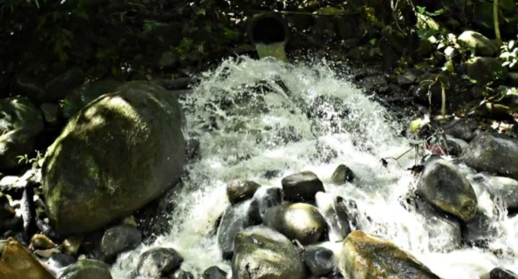 Aguas residuales desembocando en el río Alvarado desde la Urbanización Palma del Río.