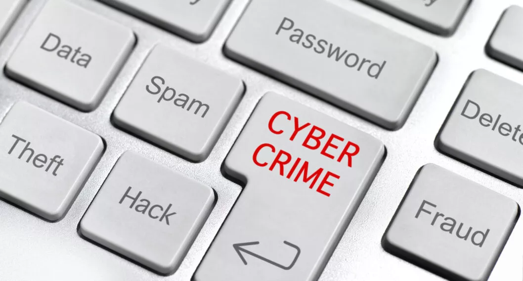 Ciberdelincuentes: conozca las formas más comunes de delito 