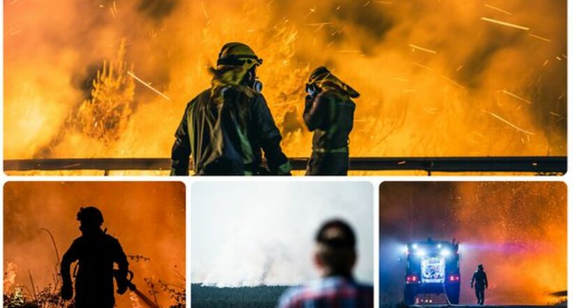 Las devastadoras imágenes que dejan los incendios forestales alrededor del mundo