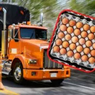 Camioneros señalan que una cubeta de huevos quedaría costando $50.000 si hay alza a la gasolina y ACPM en la reforma tributaria.
