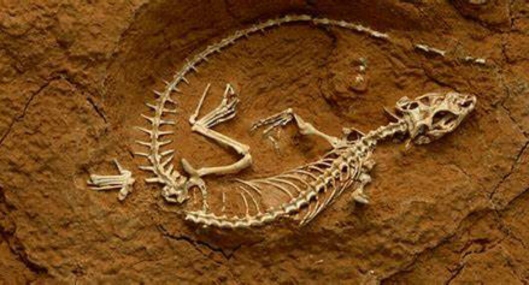 Descubren restos de dinosaurio en municipio del Cesar