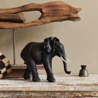 Elefante ilustra nota de cómo ponerlo en la casa
