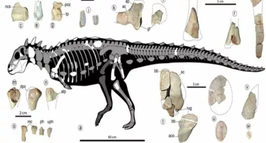 En Argentina descubrieron un dinosaurio único en su tipo para Sudamérica
