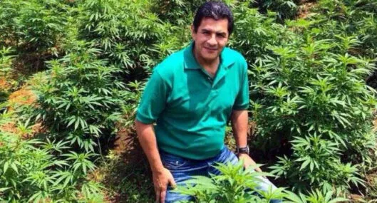 Alcalde Cali, Jorge Iván Ospina, propone crear empresa distrital de cultivo de marihuana.